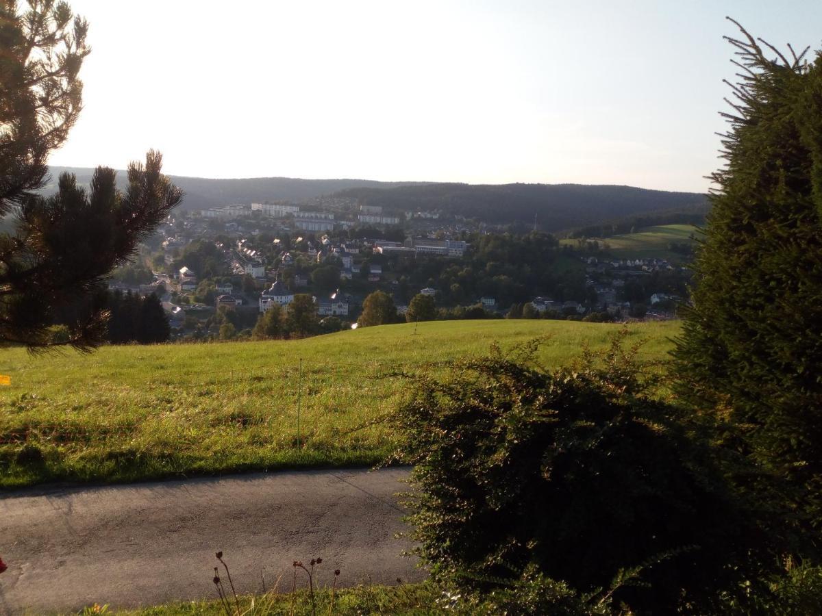 Ferienwohnung Koernerberg Klingenthal Exteriör bild