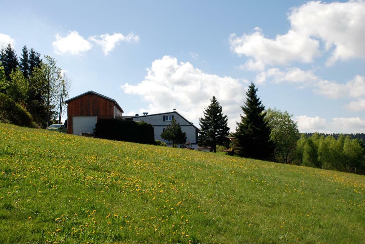 Ferienwohnung Koernerberg Klingenthal Exteriör bild