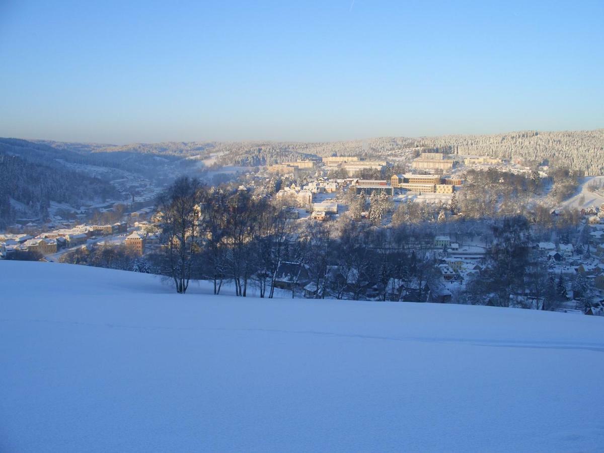 Ferienwohnung Koernerberg Klingenthal Exteriör bild